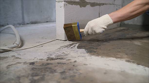SJ Waterproofing Pros Waterproofing coverage map for Ten Mile, TN and surrounding area